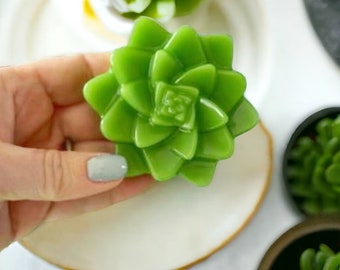 Succulent Soap Favors / Bridal Shower Favor / Succulent Wedding Favor / Bridal Shower Favor for Guest / Succulent Bridal Shower Favor