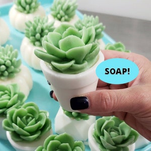 Bathroom Decor / Succulent Soap / Farmhouse Bathroom / Handmade Soap / Rustic Decor / Succulent Gift / Unique Gift Idea / Farmhouse Decor