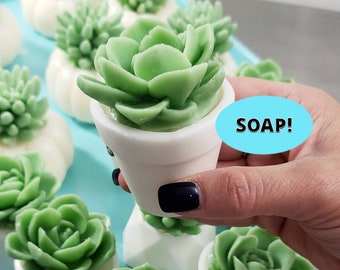 Bathroom Decor / Succulent Soap / Farmhouse Bathroom / Handmade Soap / Rustic Decor / Succulent Gift / Unique Gift Idea / Farmhouse Decor