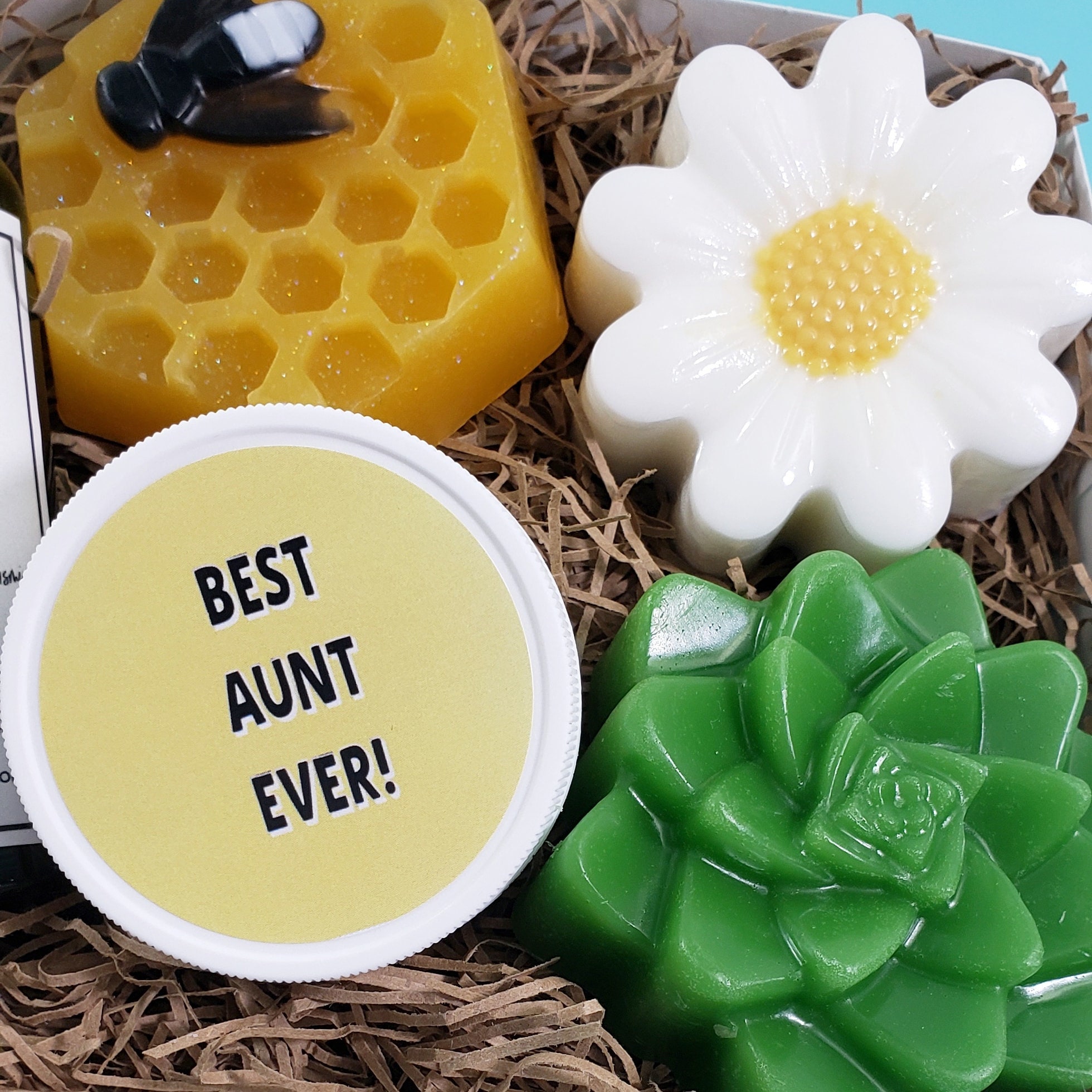 Best Aunt Ever Gift for Aunt Gift Box Ideas for Aunt From Etsy