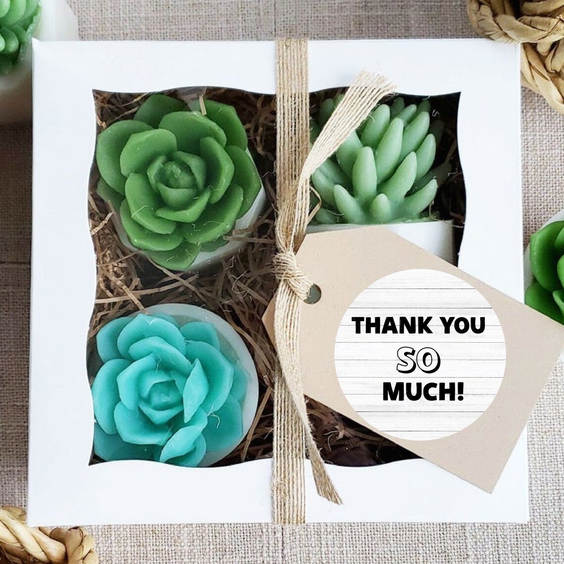 Succulent Gift Box Thank You Gift Appreciation Gift Send Etsy