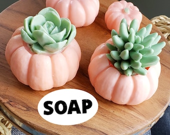 Pumpkin Succulent Soap / Succulent Gift / Farmhouse Decor / Fall Decor / Autumn Gifts / Bathroom Decor / Hostess Gift / Pumpkin Soap