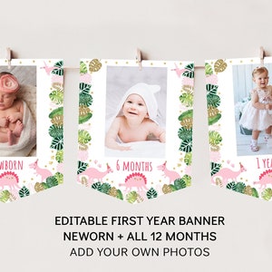 Pink Dinosaur First Birthday Banner Monthly Photo Banner Girl Dinosaur Wild One Birthday Girl First Birthday Editable Instant Download A507