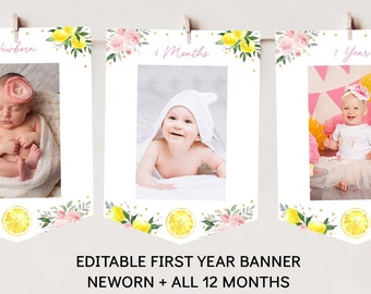 Lemonade First Birthday Banner Monthly Photo Banner Sunshine Lemonade and Fun Pink Lemonade Pink Gold Floral Lemonade Party Digital A613