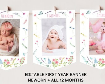 Wildflower First Birthday Banner Monthly Photo Banner Little Wildflower Birthday Garden Party Flower Birthday Pink Floral Download A676