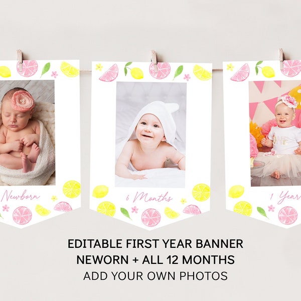 Lemonade First Year Birthday Banner Monthly Photo Banner Pink Lemonade Party Girl Lemon Party Summer Birthday Digital Download A675