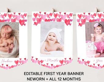 Hearts First Birthday Banner Monthly Photo Banner First Year Banner Sweetheart Pink Red Watercolor Hearts Valentine Birthday Editable A689