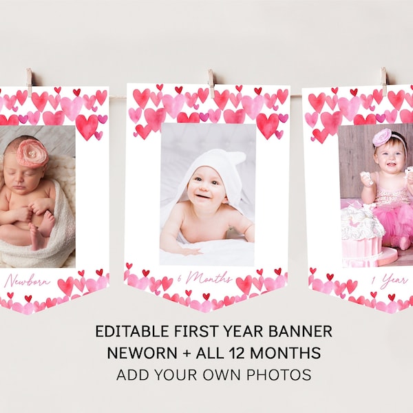 Hearts First Birthday Banner Monthly Photo Banner First Year Banner Sweetheart Pink Red Watercolor Hearts Valentine Birthday Editable A689