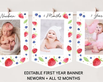 Strawberry First Birthday Banner Monthly Photo Banner Berry Sweet Strawberry Party Blueberry Birthday Berry Birthday Digital Download A670