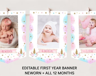 Unicorn First Birthday Banner, Monthly Photo Banner, Rainbow Unicorn, Pink & Gold, Floral, Girl First Birthday, Editable Download A451