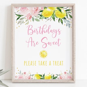 Lemonade Birthday Treat Sign Party Favor Sign Sunshine Lemonade and Fun Pink Lemonade Pink Gold Floral Girl Lemonade Party Digital A613