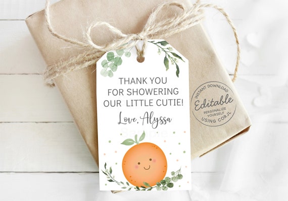 EDITABLE Little Cutie Party Favor Tags Thank You Tags Little Cutie Baby Shower Clementine Gender Neutral Printable Instant Download A535 Il_570xn