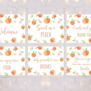 Editable Peach Birthday Signs Table Signs Set of 6 Party Signs Sweet As A Peach Birthday Watercolor Peach Girl Floral Digital Download A668