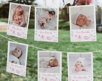 Pink Under the Sea First Birthday Banner, Monthly Photo Banner, Pink Girl Sea Animals, Watercolor Whale Turtle Ocean, Editable Digital A725