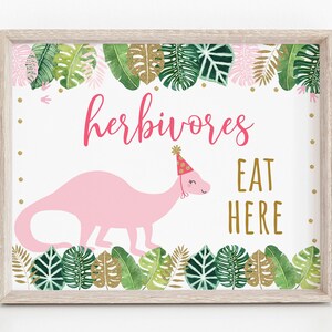 Herbivores Dinosaur Birthday Sign, Dinosaur Birthday, Pink & Gold Dinosaur, Girl Dinosaur, Food Table Sign, PRINTABLE Instant Download A507