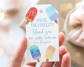 Editable Popsicle Birthday Thank You Tags Favor Tags You're The Coolest Popsicle Party Boy Blue Popsicle Ice Cream Party Digital A674