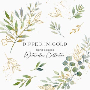 Aquarel groen clipart, eucalyptus clipart, aquarel bladeren, groen gouden bruiloft clipart, botanische clipart, premade clipart