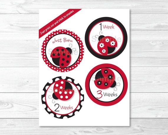 Ladybug Every month Milestone Stickers / Onesie Stickers image about Printable Iron Ons referred to as Ladybug Month-to-month Milestone Stickers / Onesie Stickers