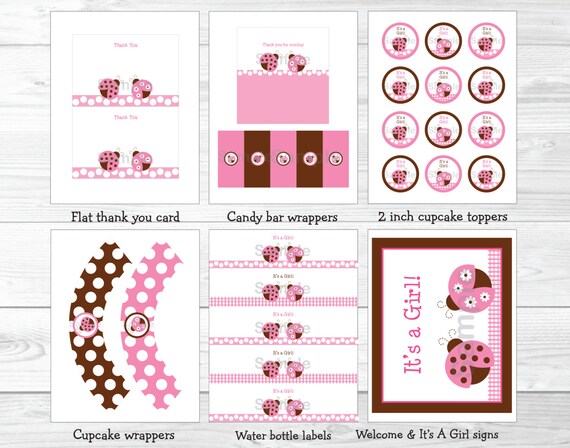 Pink Ladybug Baby Shower Party Package Ladybug Baby Shower