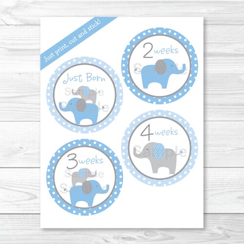 Baby Monthly Milestone Growth Stickers Navy Grey Elephant | Etsy