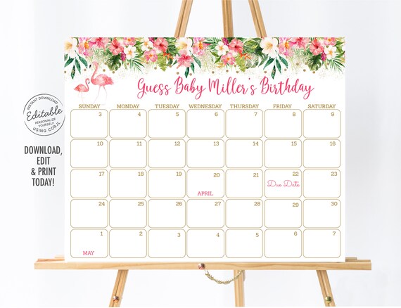 EDITABLE Flamingo Baby Due Date Calendar Flamingo Baby Shower Pink & Gold Tropical Floral Birthday Predictions Printable Digital Corjl A454 Il_570xn