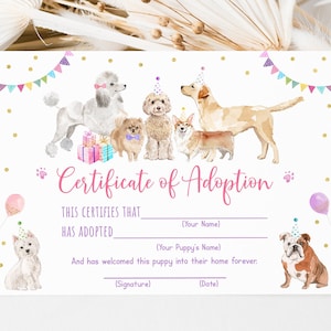 Puppy Certificate Of Adoption Adopt A Puppy Let's Paw-ty Girl Puppy Birthday Animal Shelter Vet Puppy Dog with Balloons Download A621