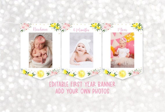 Lemonade First Birthday Banner Monthly Photo Banner Sunshine Lemonade and Fun Pink Lemonade Pink Gold Floral Lemonade Party Digital A613 Il_570xn
