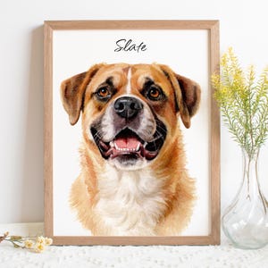 Custom Watercolor Portraits, Cat Portraits, Using Pet Photo, Pet Memorial Art, Custom Dog Portraits, Personalized Digital Dog Portraits