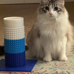 May include: A fluffy, long-haired cat with blue eyes sits next to a multi-colored cat toy. The toy is cylindrical and stacked with white, light blue, and dark blue sections. The cat is mostly white with gray markings.