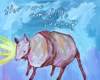 the rare armadillo sunset