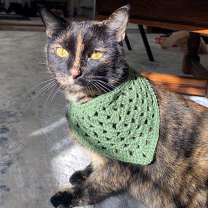 Aangepaste gehaakte huisdier-bandana, handgemaakte kattenkleding, gepersonaliseerde gehaakte hondenaccessoires, schattige gehaakte bandana, huisdiercadeau, aanpasbare geschenken