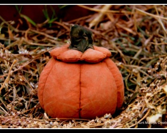 Primitive Hollow Pumpkin Ornie Halloween Candy Dish