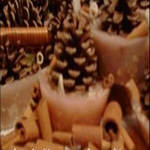 Primitive Pine Cone Firestarters Recipe Instructions ePattern