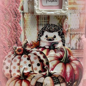 Diário de abóboras rosas em aquarela estilo vintage, ouriços e fadas! 212 páginas!