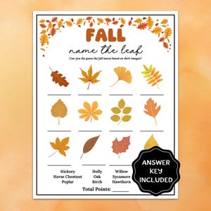 May include: A printable game sheet titled FALL name the leaf with a border of autumn leaves. It features twelve illustrations of various leaves to identify, a word bank with names like Hickory and Oak, a total points line, and a black badge stating ANSWER KEY INCLUDED.