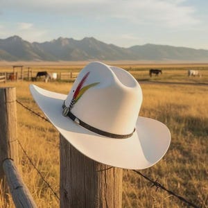 May include: A white cowboy hat with a decorative feather and band sits on a wooden fence post. The hat has a wide brim and a black band. The background shows a field, mountains, and horses.