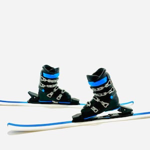 May include: A pair of black ski boots with blue accents attached to white skis with blue stripes.