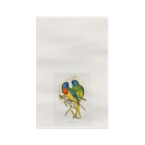 Tropical Birds