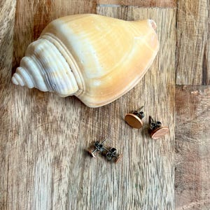May include: A large, cream-colored seashell rests on a wooden surface, with three pairs of copper-colored stud earrings scattered nearby. The earrings have a simple, oval design. The wood grain adds a natural texture to the scene.