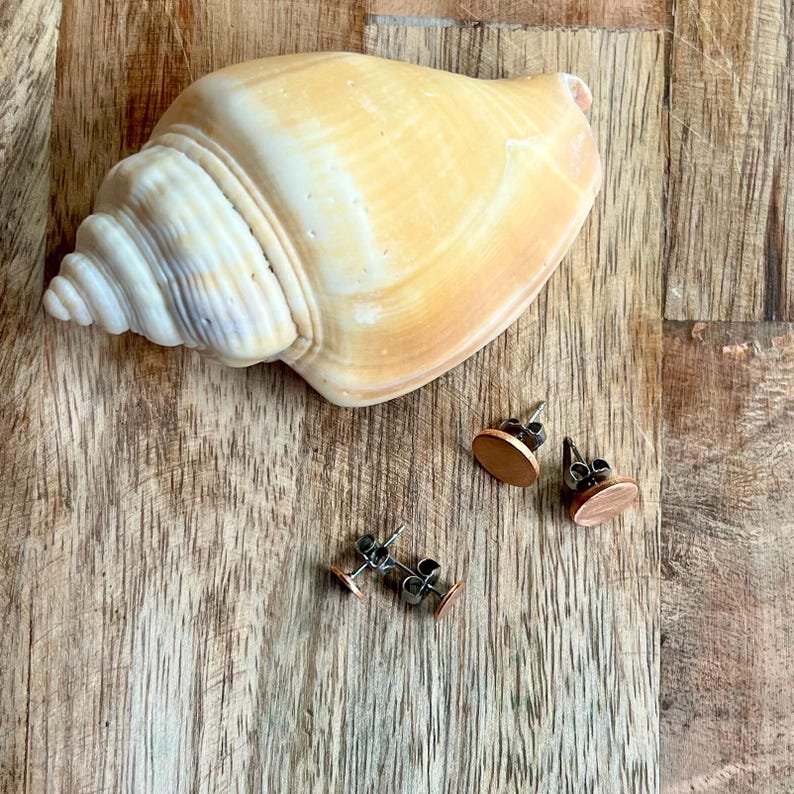 May include: A large, cream-colored seashell rests on a wooden surface, with three pairs of copper-colored stud earrings scattered nearby. The earrings have a simple, oval design. The wood grain adds a natural texture to the scene.