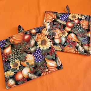 Thanksgiving/Fall Hot Pads-set of 2