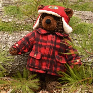 May include: A brown teddy bear wearing a red and black plaid jacket and a red hat with ear flaps. The hat has a white trim and a circular patch. The bear is posed in a natural outdoor setting with green foliage and a log.