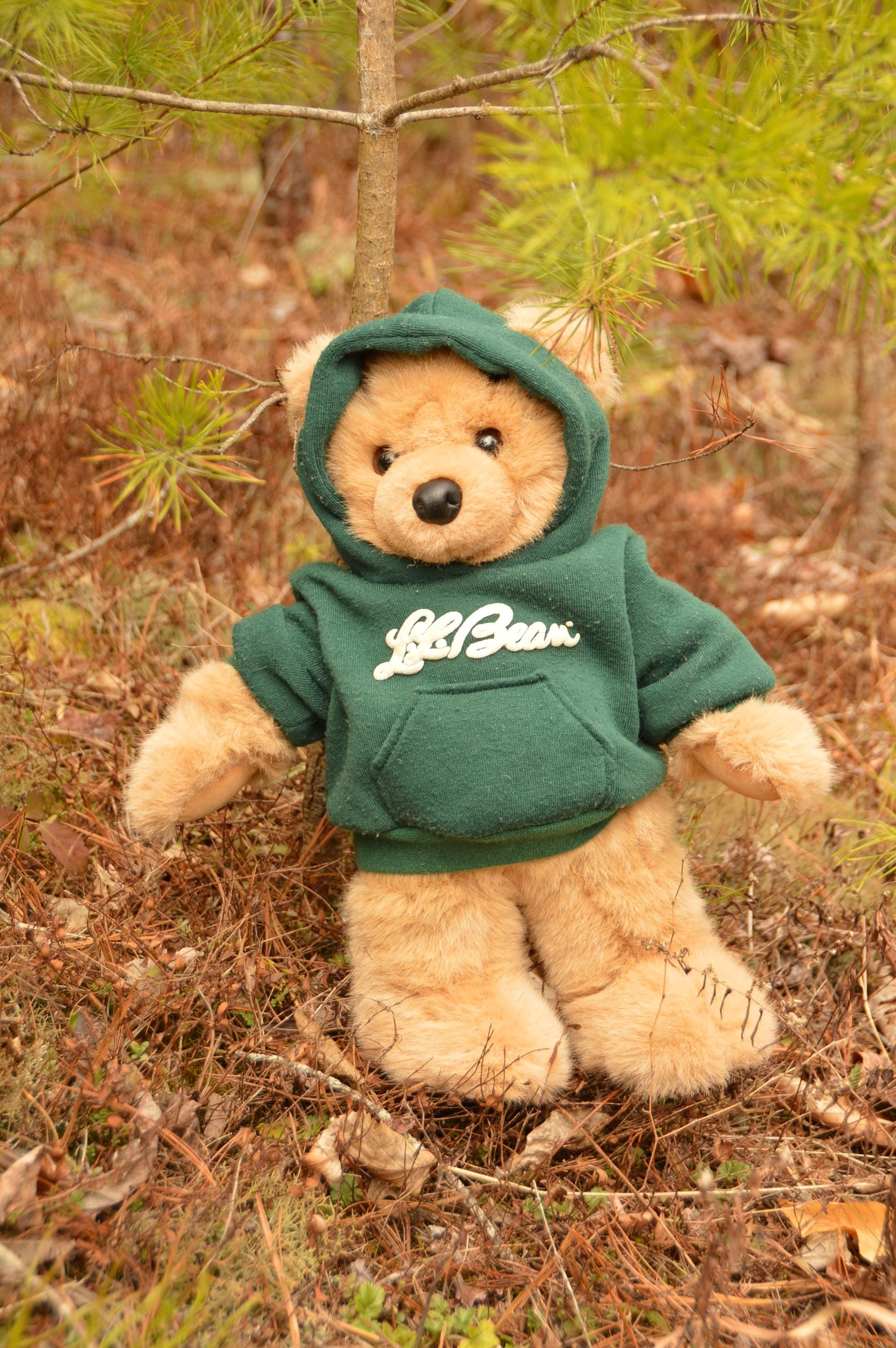 Ll Bean Bear - Etsy