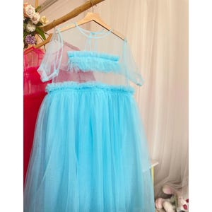 May include: A light blue tulle dress with a ruffled bodice and short sleeves. The dress is sheer and has a flowing skirt.