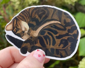 Curled up Tabby Cat Vinyl sticker