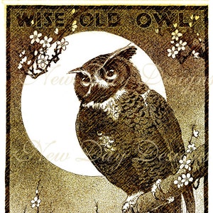Wise Old Owl Halloween Vintage Illustration Book Scan Instant Digital Download DB025 image 1