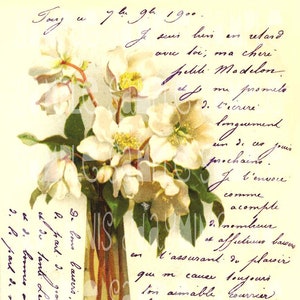 Boże Narodzenie francuski Roses & skrypt - francuski pocztówki 1900 - skanowanie, Tag dar - FC007 Instant Digital Download
