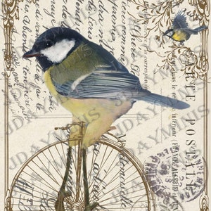 French Bird Biking Collage - Instant Download French Postcard Tag - FrA150