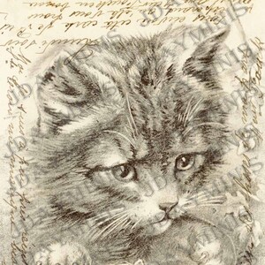 El gatito y la mariquita, etiqueta de regalo victoriana, descarga instantánea, escaneo de postal francesa de 1905 FrA097
