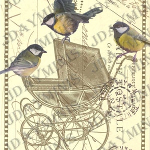 Oiseaux français sur un buggy - collage postal, étiquette de carte postale française - téléchargement immédiat, 149 FrA